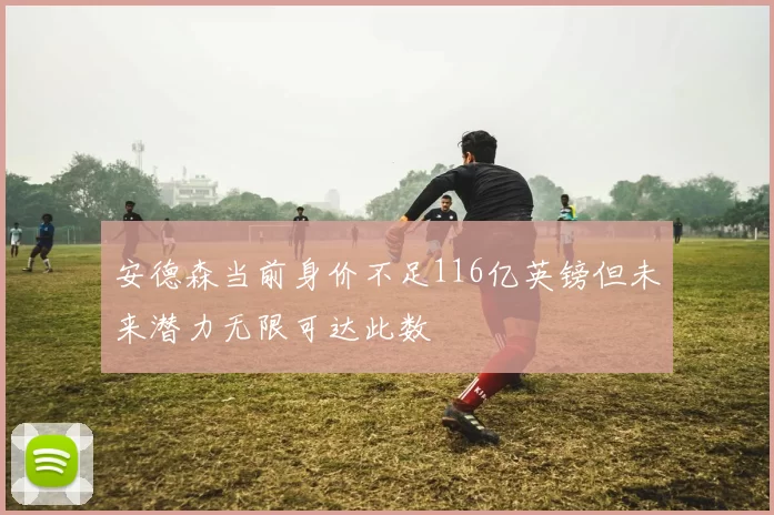 安德森当前身价不足116亿英镑但未来潜力无限可达此数